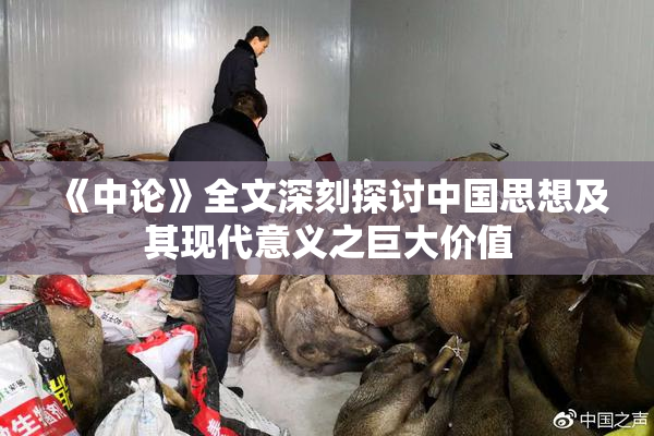 《中论》全文深刻探讨中国思想及其现代意义之巨大价值