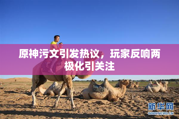 原神污文引发热议，玩家反响两极化引关注