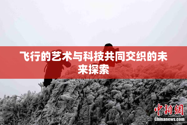 飞行的艺术与科技共同交织的未来探索