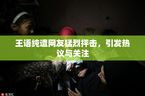 王语纯遭网友猛烈抨击，引发热议与关注