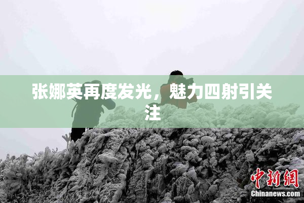 张娜英再度发光，魅力四射引关注