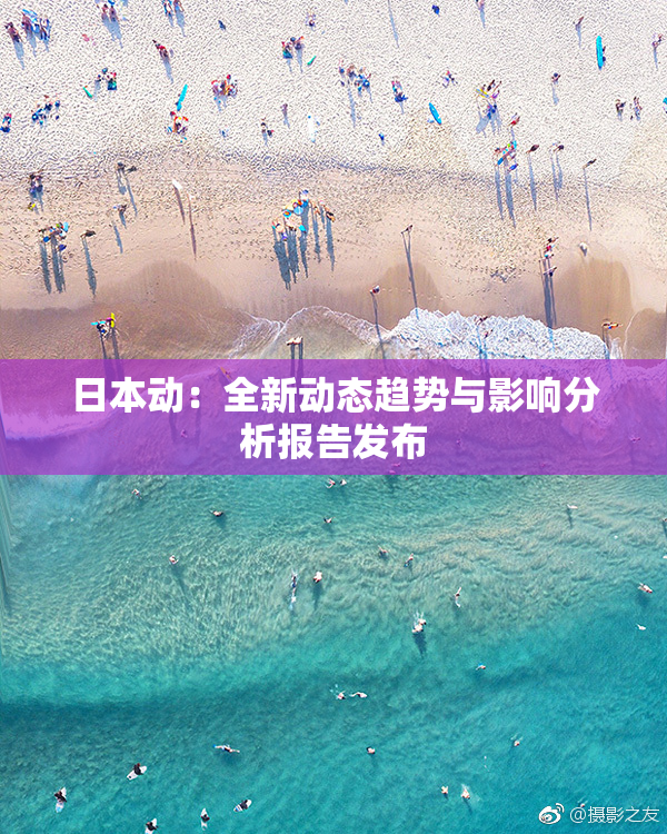 日本动：全新动态趋势与影响分析报告发布