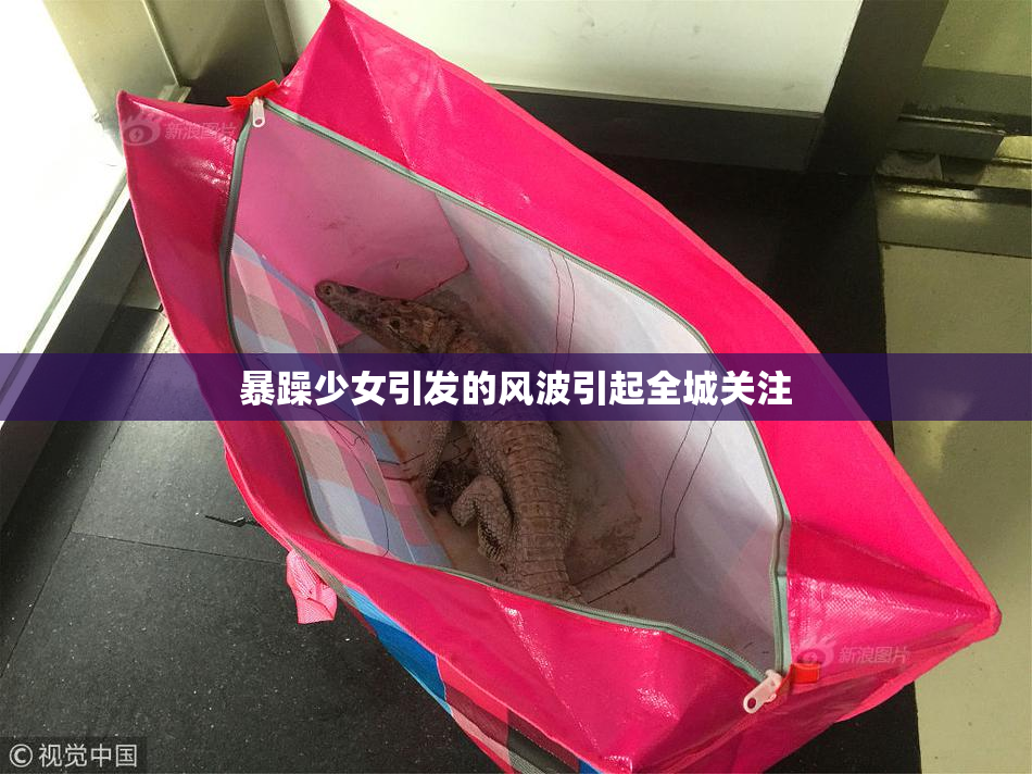 暴躁少女引发的风波引起全城关注