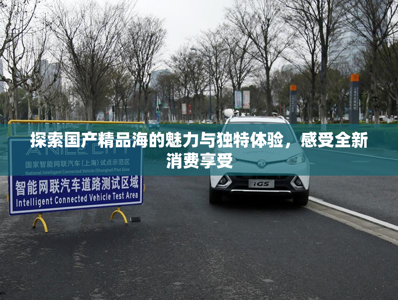 探索国产精品海的魅力与独特体验，感受全新消费享受
