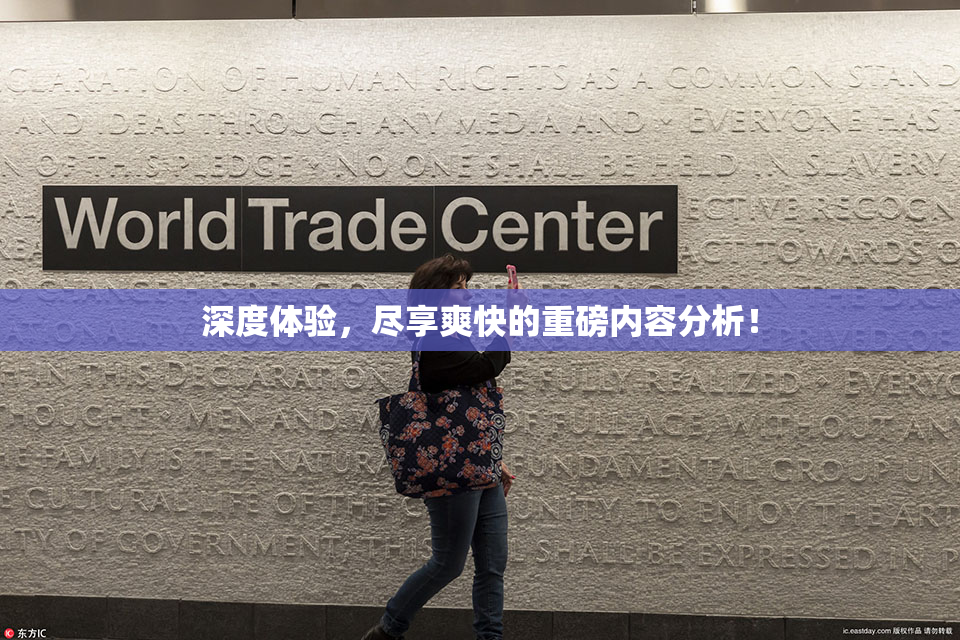 深度体验，尽享爽快的重磅内容分析！