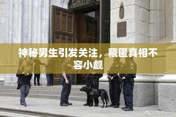 神秘男生引发关注，藏匿真相不容小觑