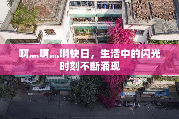 啊灬啊灬啊快日，生活中的闪光时刻不断涌现