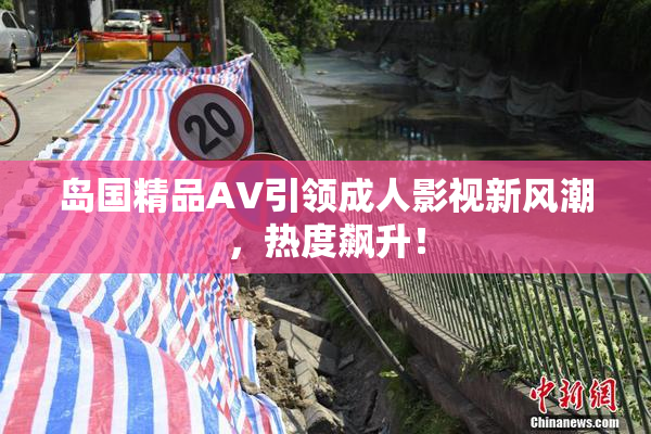 岛国精品AV引领成人影视新风潮，热度飙升！