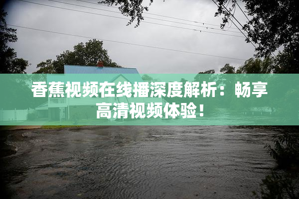 香蕉视频在线播深度解析：畅享高清视频体验！