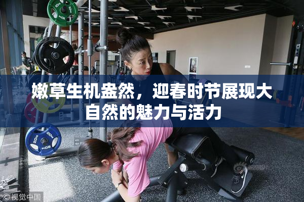 嫩草生机盎然，迎春时节展现大自然的魅力与活力