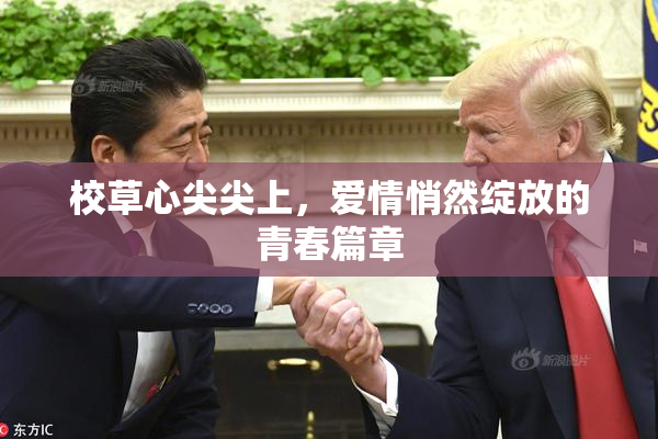 校草心尖尖上，爱情悄然绽放的青春篇章