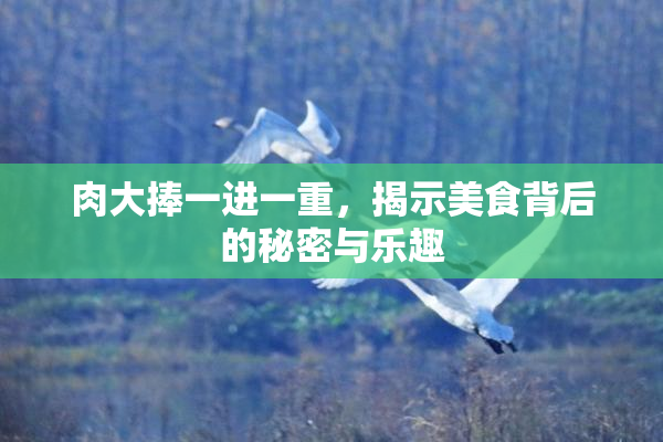 肉大捧一进一重，揭示美食背后的秘密与乐趣