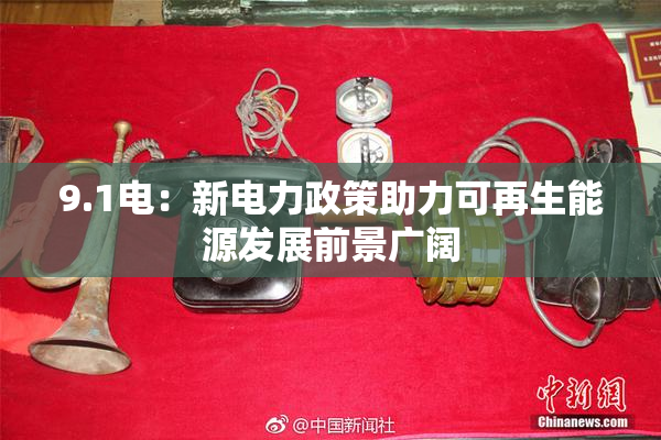 9.1电：新电力政策助力可再生能源发展前景广阔