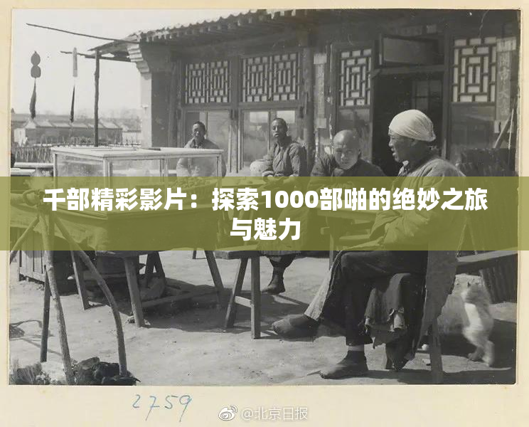千部精彩影片：探索1000部啪的绝妙之旅与魅力