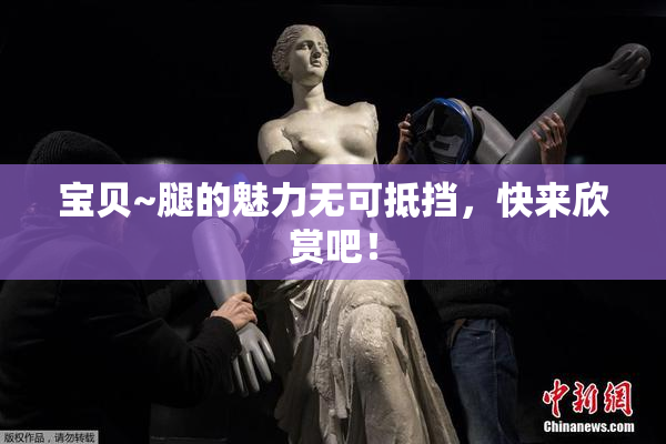 宝贝~腿的魅力无可抵挡，快来欣赏吧！