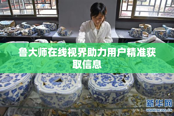 鲁大师在线视界助力用户精准获取信息