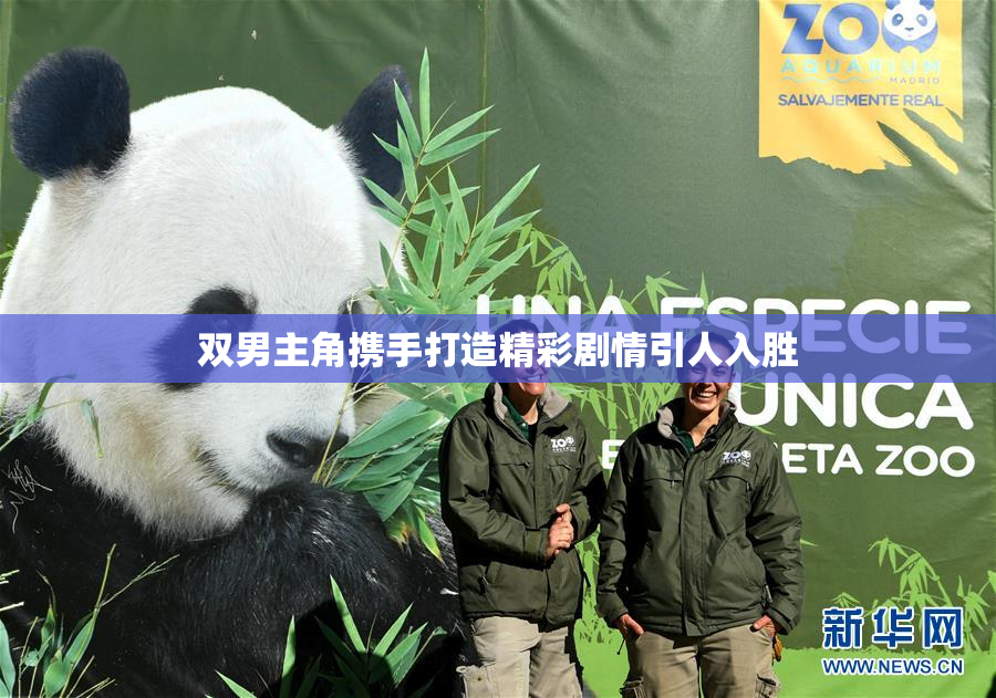 双男主角携手打造精彩剧情引人入胜