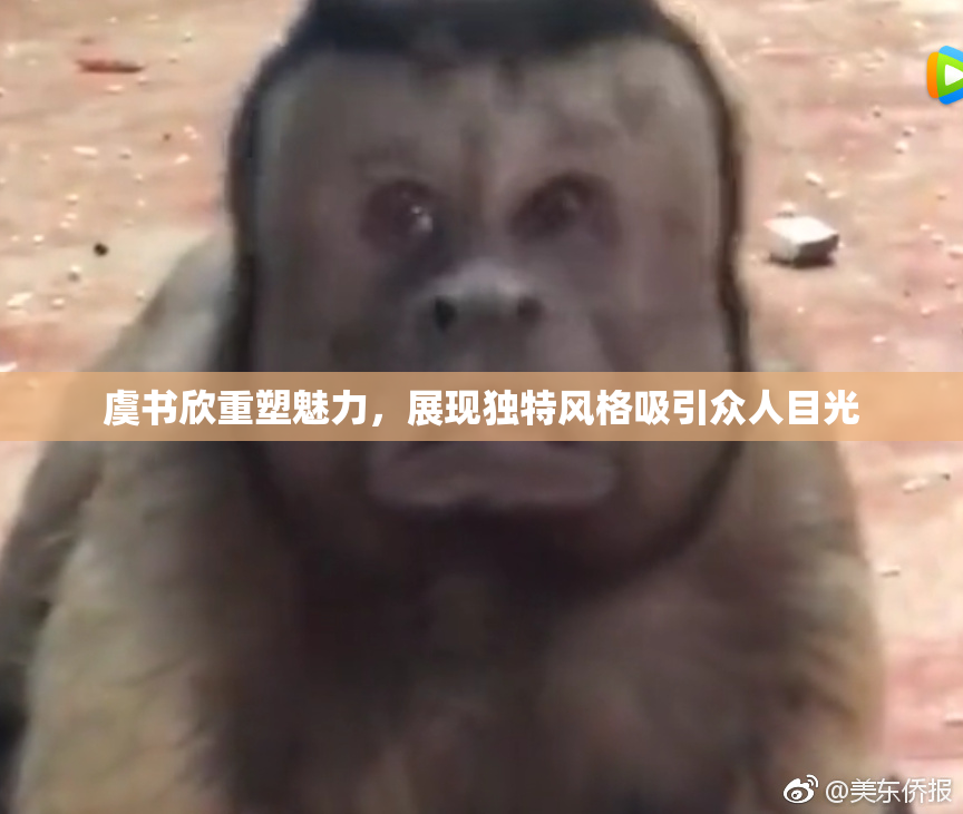 虞书欣重塑魅力，展现独特风格吸引众人目光