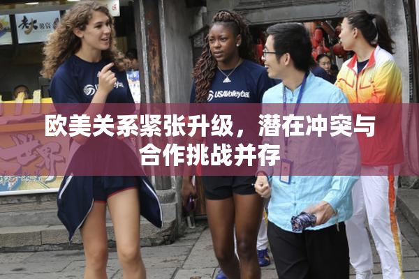 欧美关系紧张升级，潜在冲突与合作挑战并存