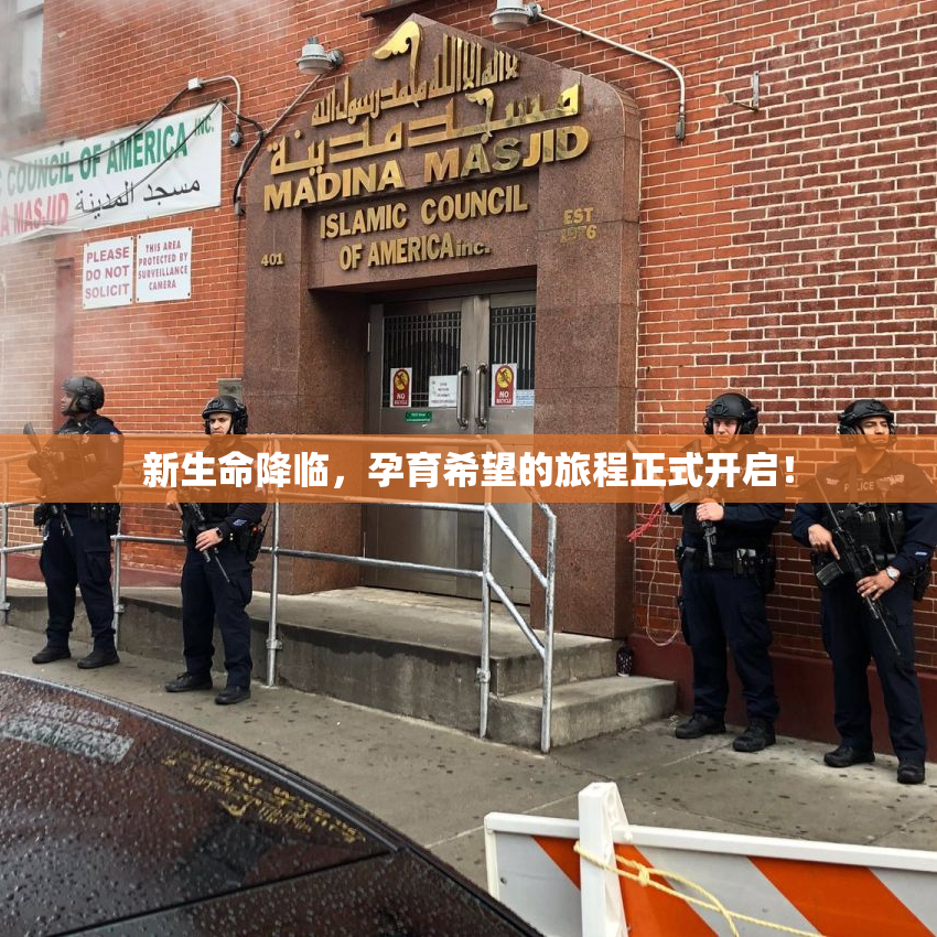 新生命降临，孕育希望的旅程正式开启！