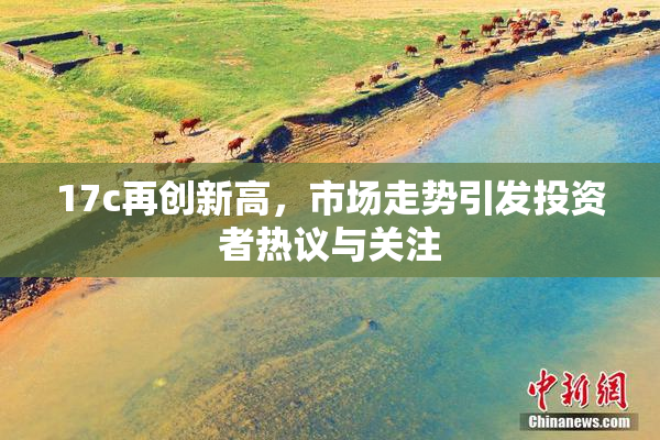 17c再创新高，市场走势引发投资者热议与关注