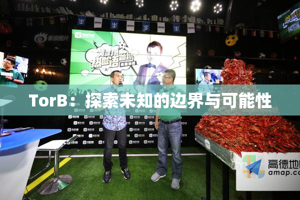 TorB：探索未知的边界与可能性
