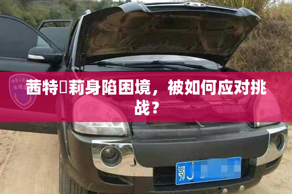 茜特菈莉身陷困境，被如何应对挑战？