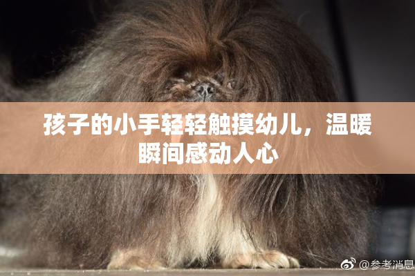 孩子的小手轻轻触摸幼儿，温暖瞬间感动人心