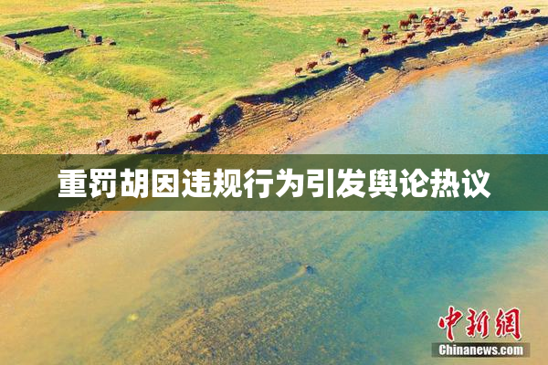 重罚胡因违规行为引发舆论热议