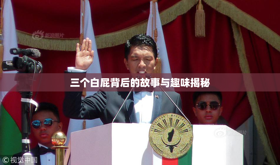 三个白屁背后的故事与趣味揭秘