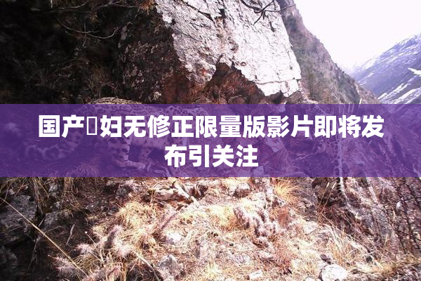 国产婬妇无修正限量版影片即将发布引关注