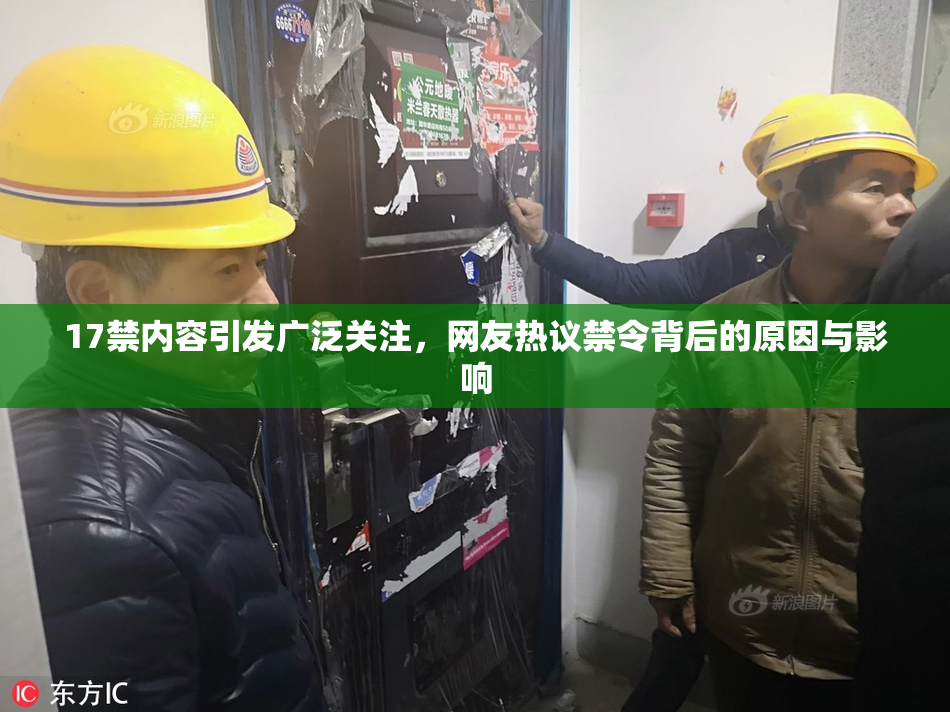 17禁内容引发广泛关注，网友热议禁令背后的原因与影响