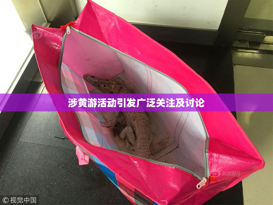 涉黄游活动引发广泛关注及讨论