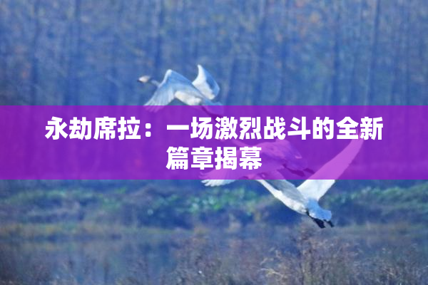 永劫席拉：一场激烈战斗的全新篇章揭幕