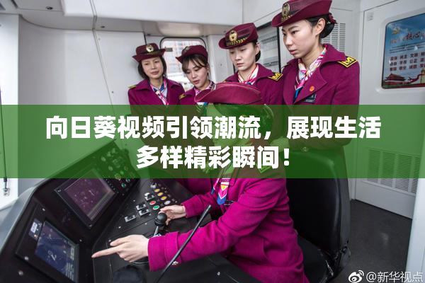 向日葵视频引领潮流，展现生活多样精彩瞬间！