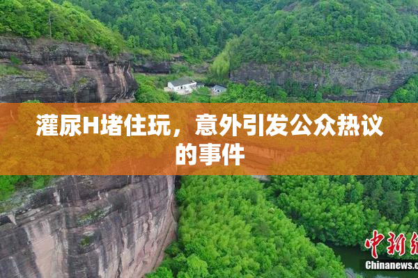 灌尿H堵住玩，意外引发公众热议的事件