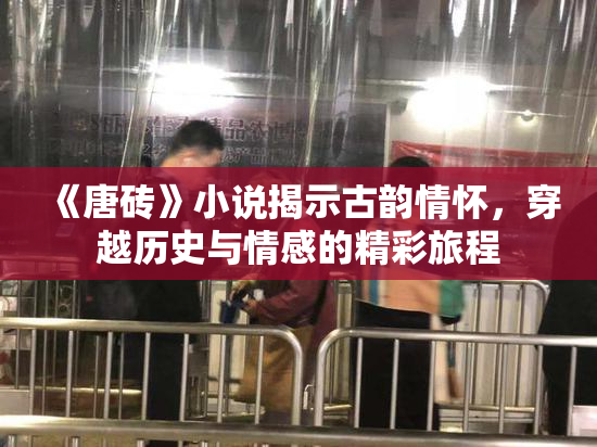 《唐砖》小说揭示古韵情怀，穿越历史与情感的精彩旅程