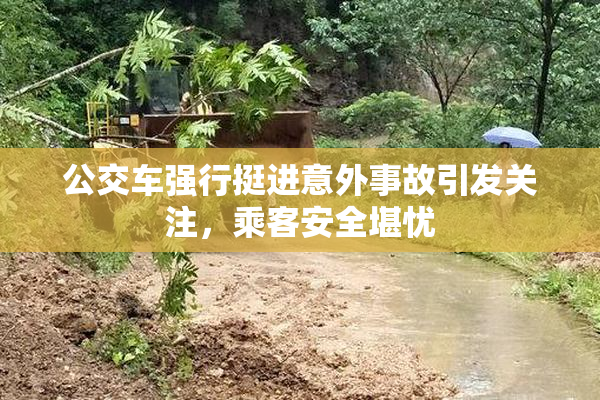 公交车强行挺进意外事故引发关注，乘客安全堪忧