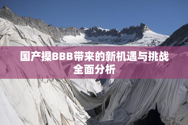 国产搡BBB带来的新机遇与挑战全面分析