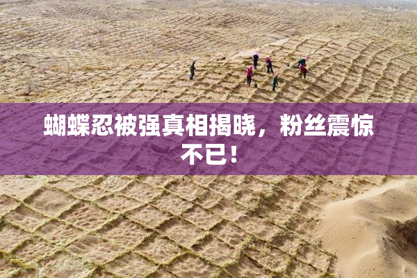 蝴蝶忍被强真相揭晓，粉丝震惊不已！