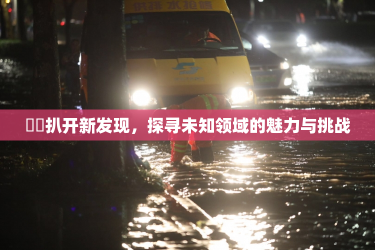 妺妺扒开新发现，探寻未知领域的魅力与挑战