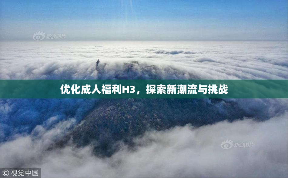 优化成人福利H3，探索新潮流与挑战