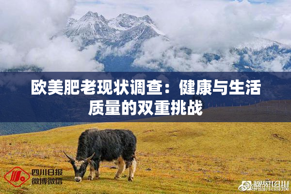 欧美肥老现状调查：健康与生活质量的双重挑战