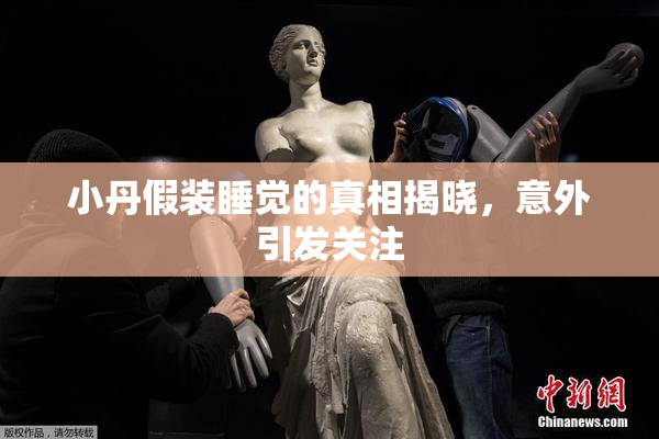 小丹假装睡觉的真相揭晓，意外引发关注