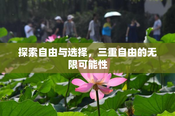 探索自由与选择，三重自由的无限可能性