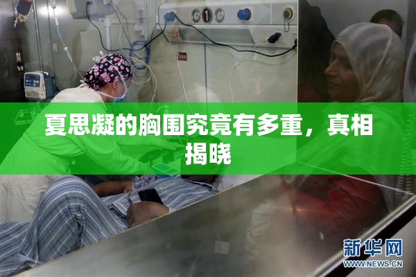夏思凝的胸围究竟有多重，真相揭晓