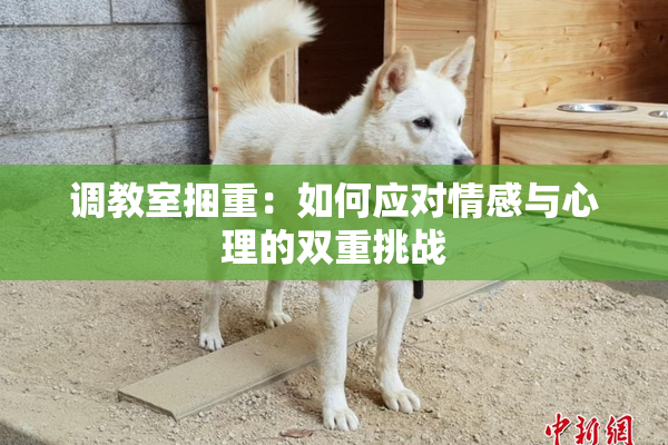 调教室捆重：如何应对情感与心理的双重挑战
