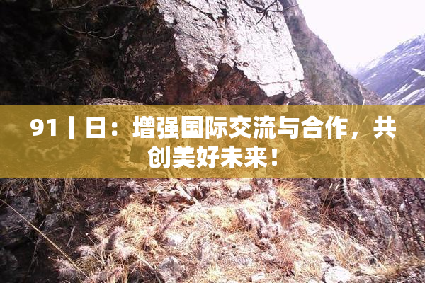 91丨日：增强国际交流与合作，共创美好未来！