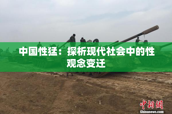 中国性猛：探析现代社会中的性观念变迁