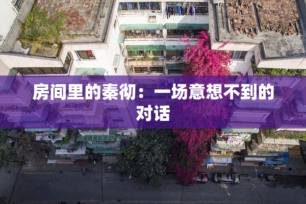 房间里的秦彻：一场意想不到的对话